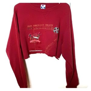 Champion ripped cropped sweater